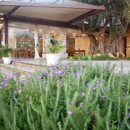 Pescheto Tenuta Chimenti Partinico